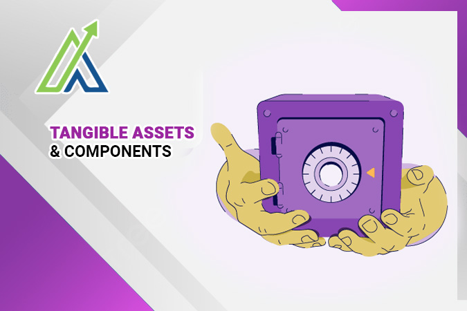 Tangible Assets