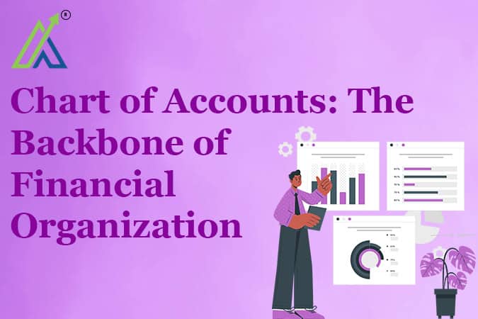 Chart of Accounts: The Backbone of Financial Organization